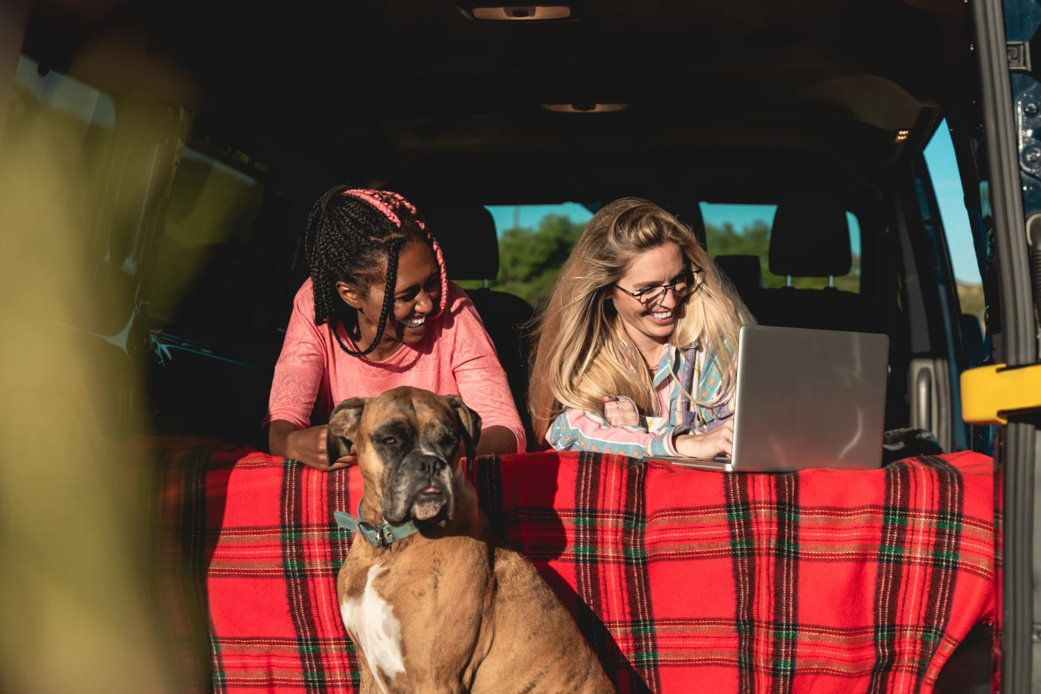 Nissan Pathfinder Dog Safety Belt for Boxers