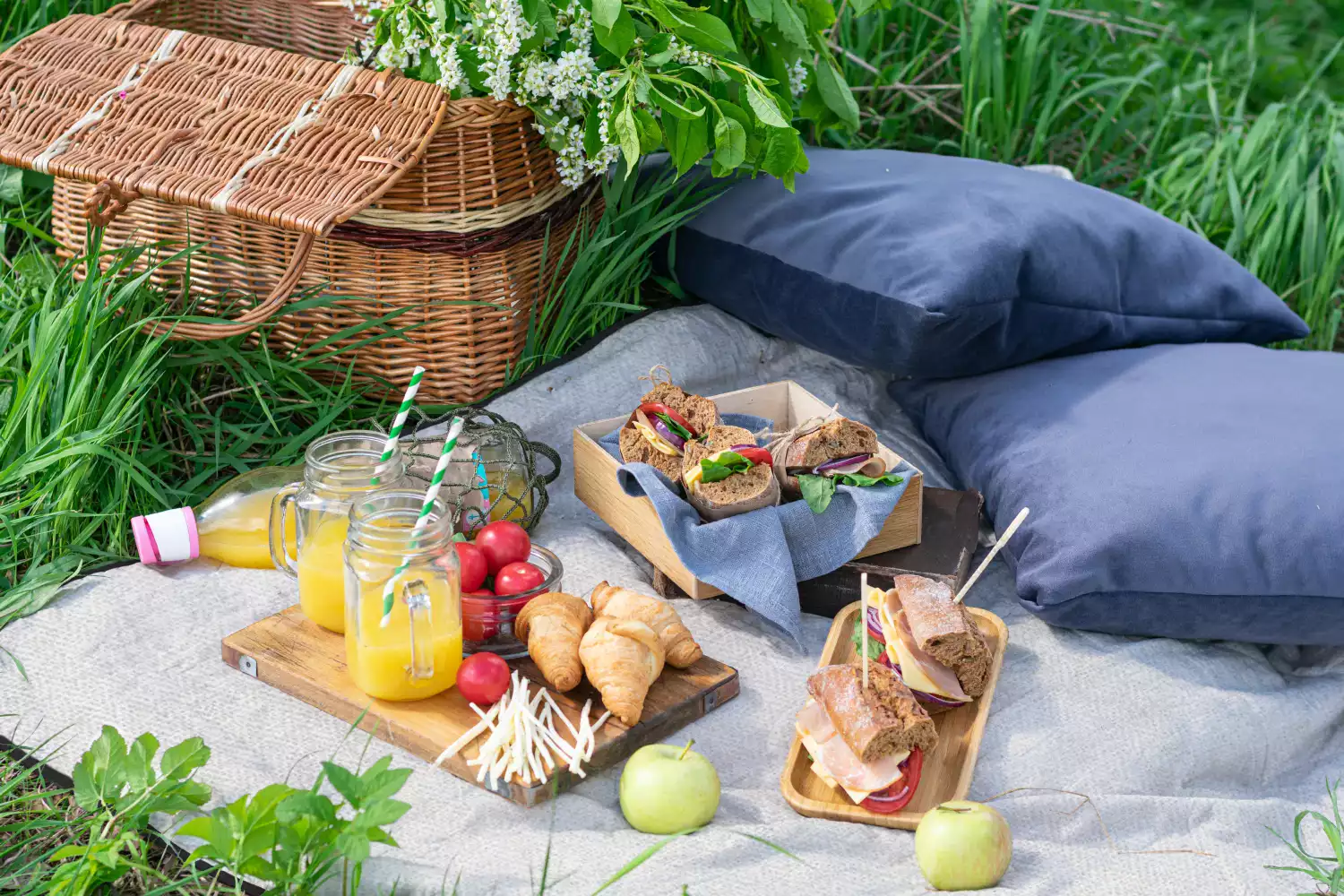 picnic blanket with bag
