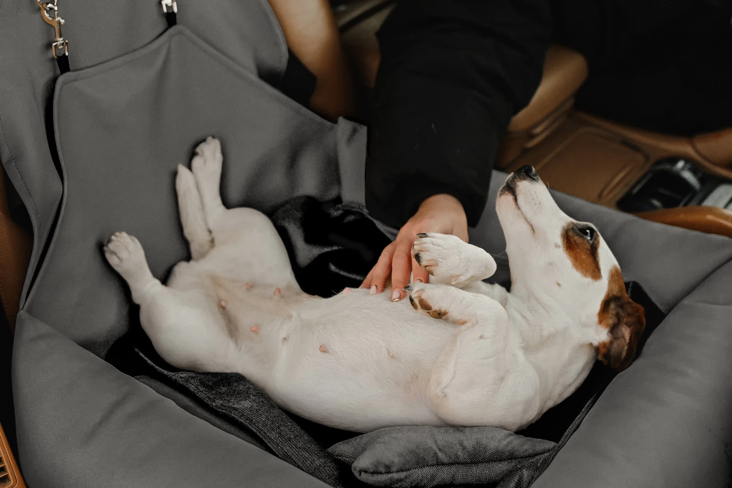 Basset Hounds Dog Car Seat for Hyundai Palisade