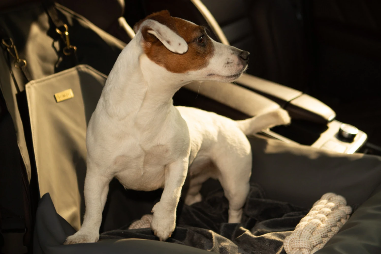 Icelandic Sheepdogs Dog Car Seat for Mazda CX-5