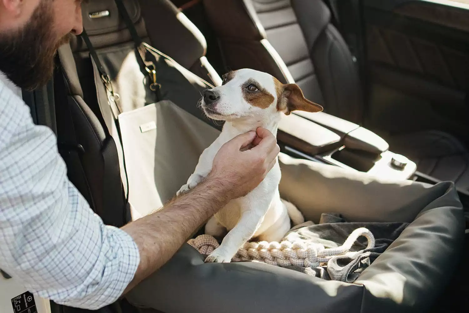 Miniature Bull Terriers Dog Car Seat for Buick Enclave