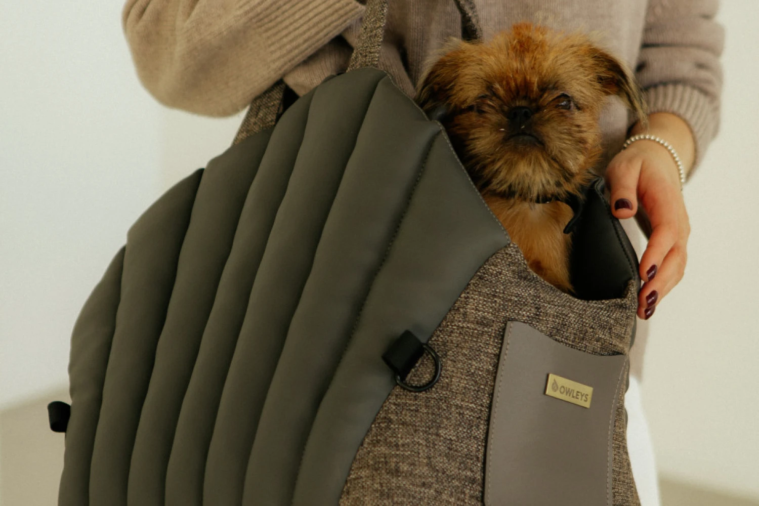 Dog Carrier Purse for Tenterfield Terrier