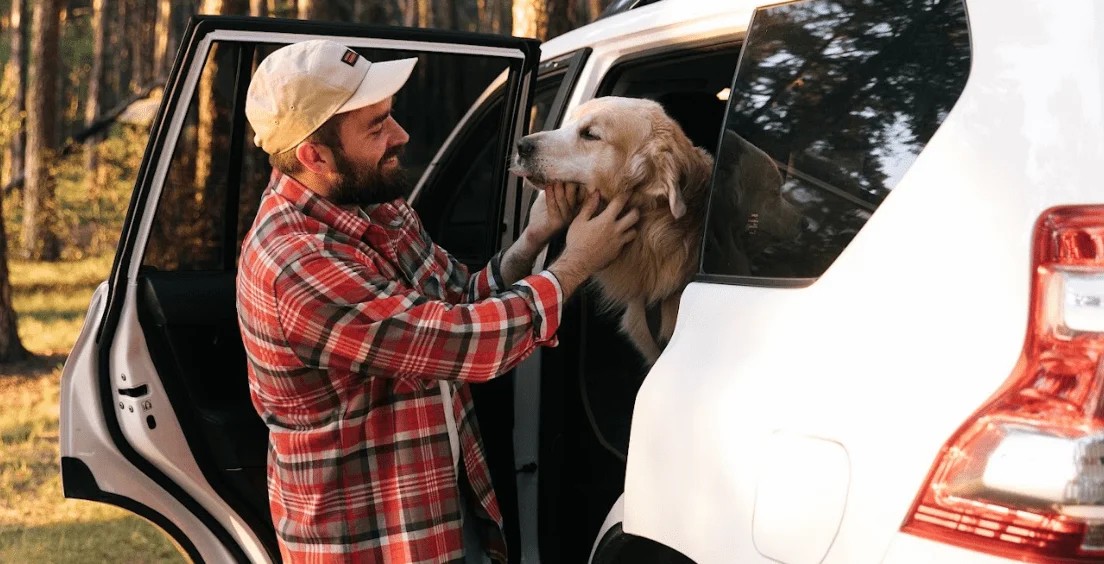 Anatolian Shepherd Dogs  Dog Safety Belt for Ford Escape