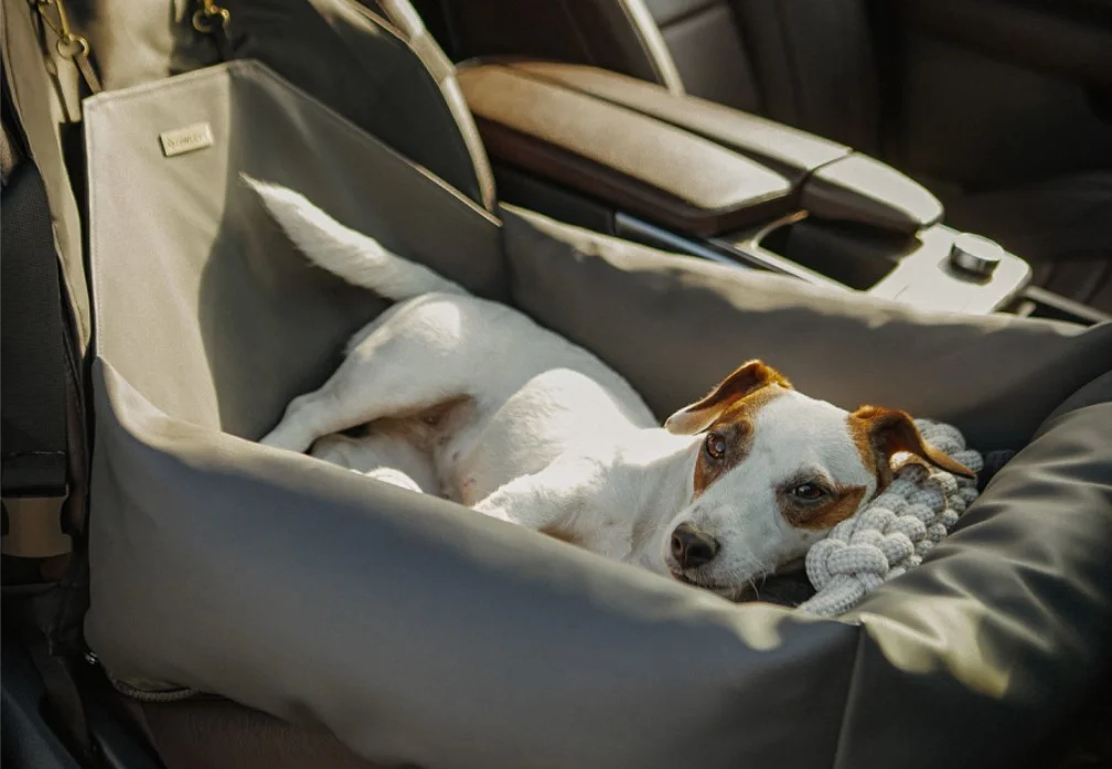 Parson Russell Terriers Dog Car Seat for Hyundai Palisade