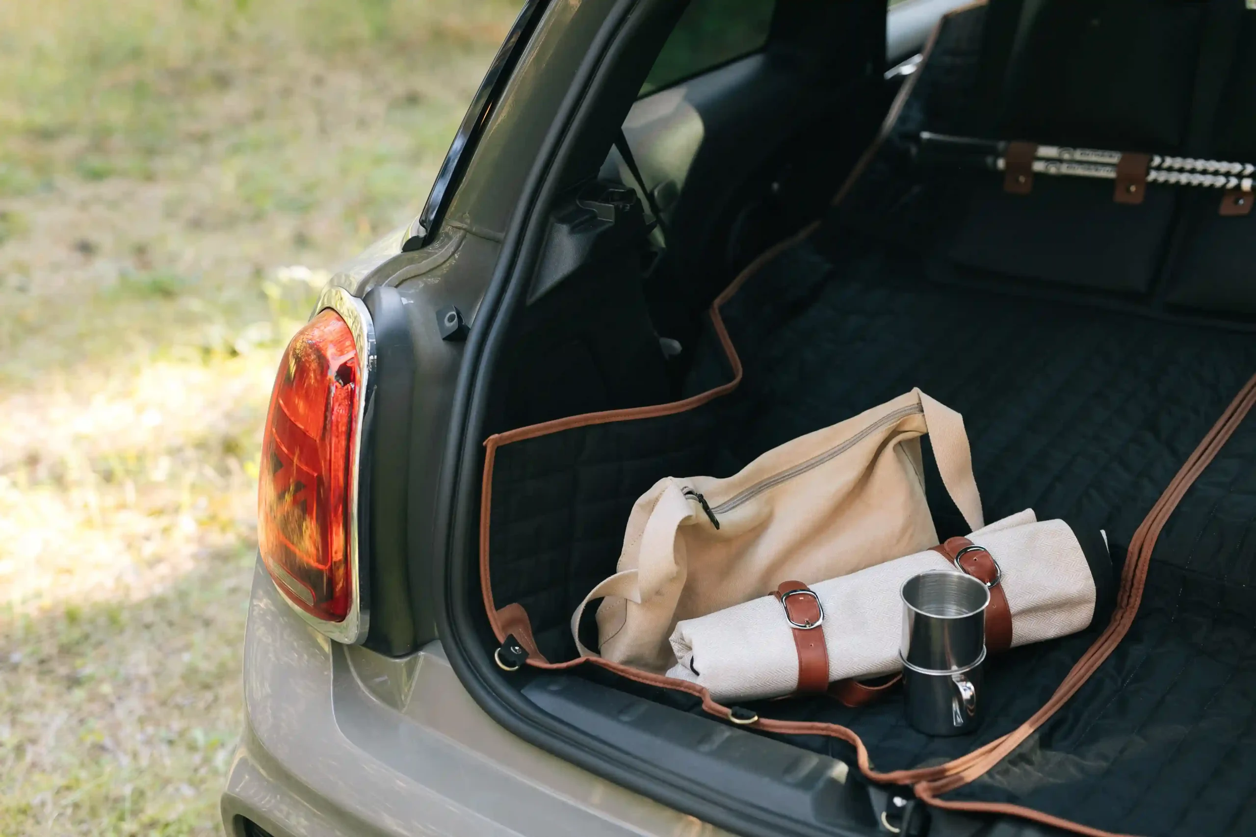 rollup picnic blanket