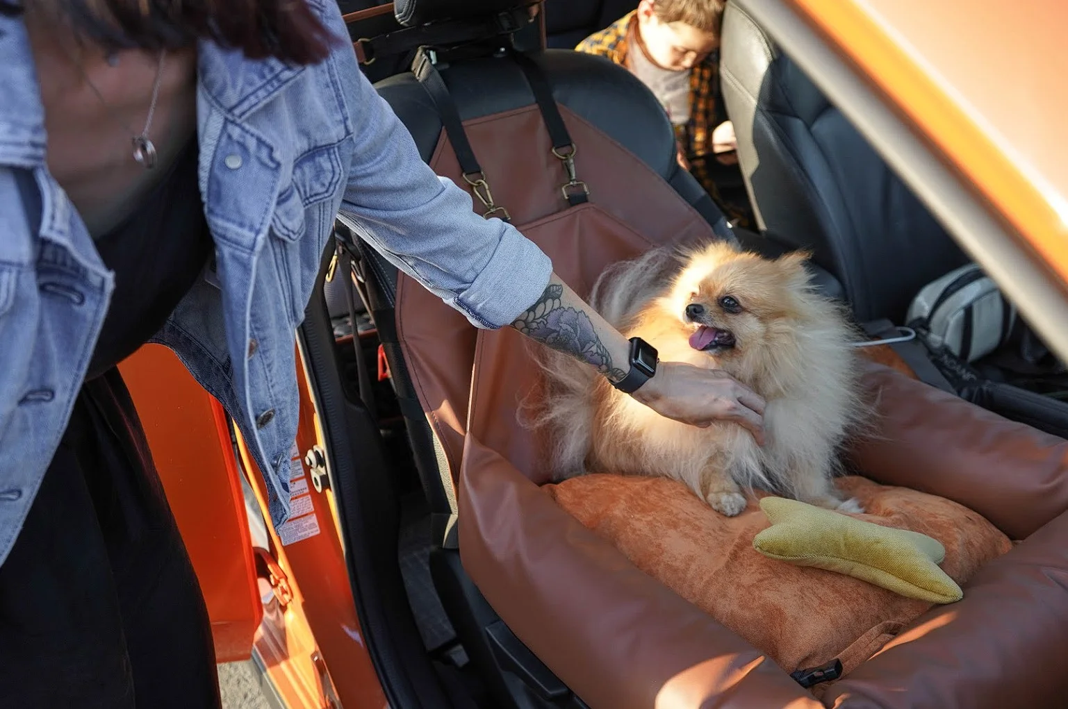 Welsh Springer Spaniels Dog Car Seat for Chevrolet Blazer